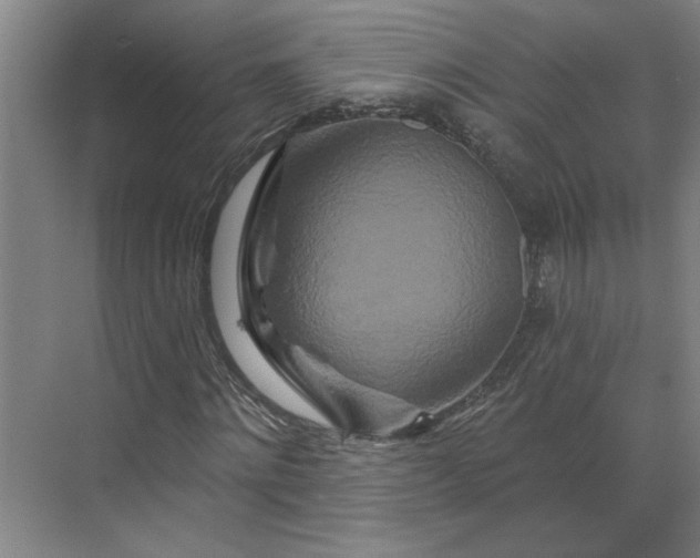 X0000070180868200606091504