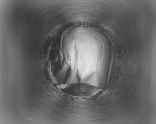 X0000070180870200606091504