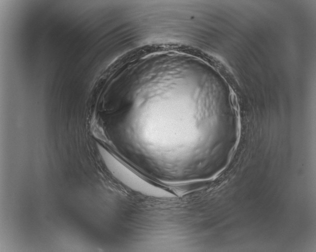 X0000070180871200606091504