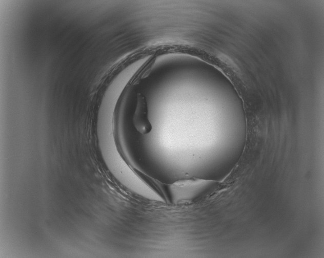 X0000070180872200606091504