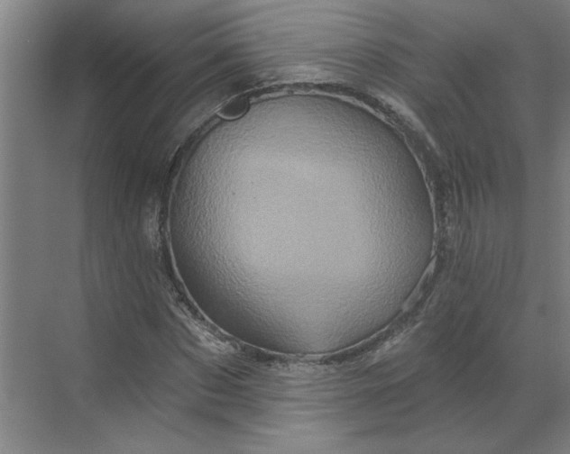 X0000070180873200606091504