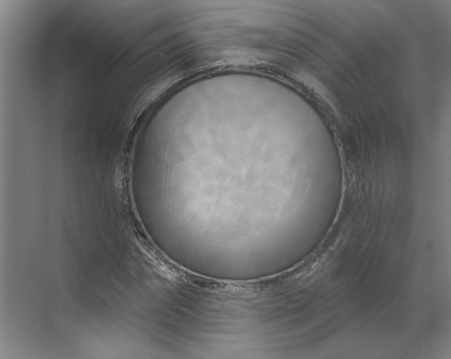 X0000070180874200606091504