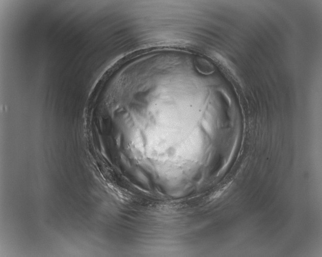 X0000070180875200606091504