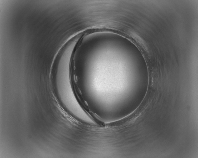 X0000070180876200606091504