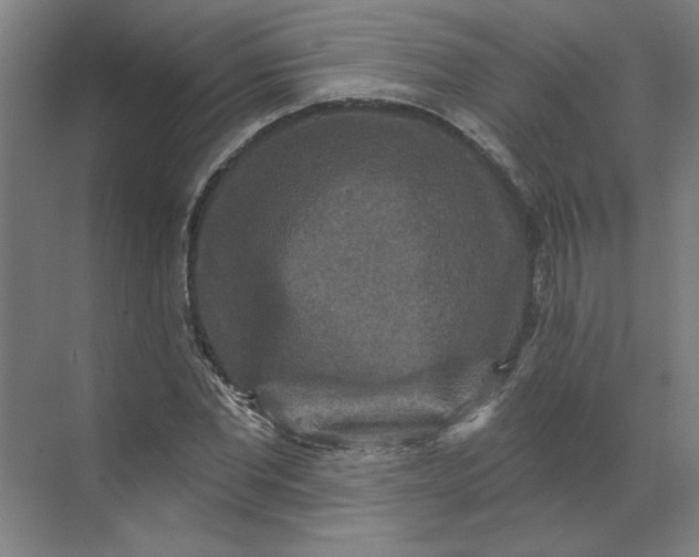 X0000070180877200606091504