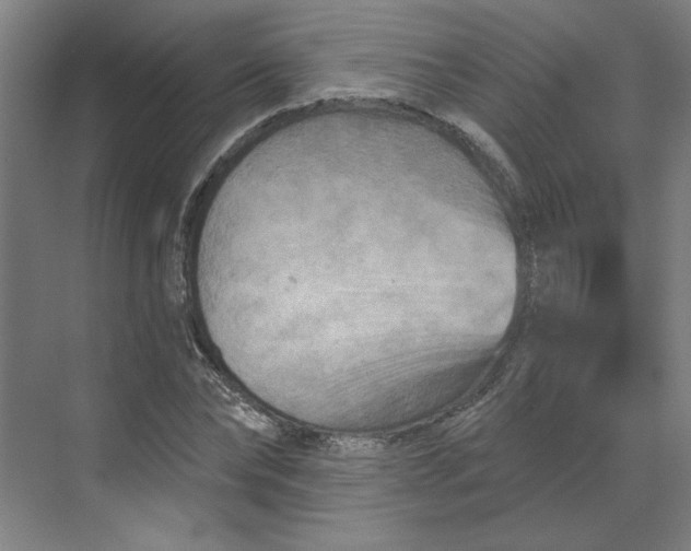 X0000070180878200606091504