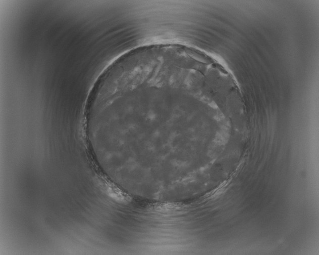 X0000070180879200606091504