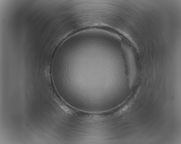 X0000070180881200606091504