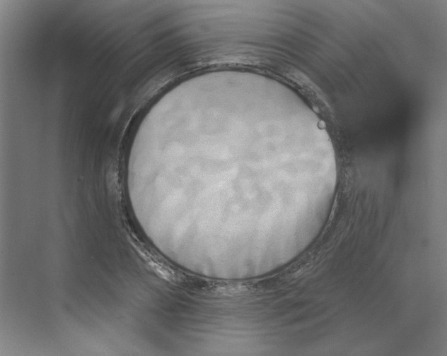 X0000070180882200606091504