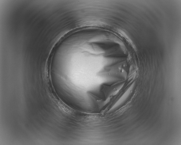 X0000070180883200606091504