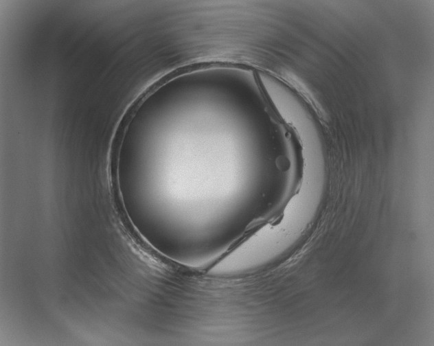 X0000070180884200606091504