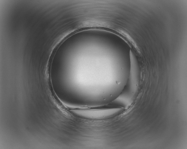 X0000070180885200606091504