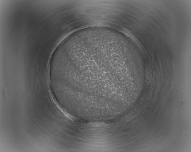 X0000070180886200606091504