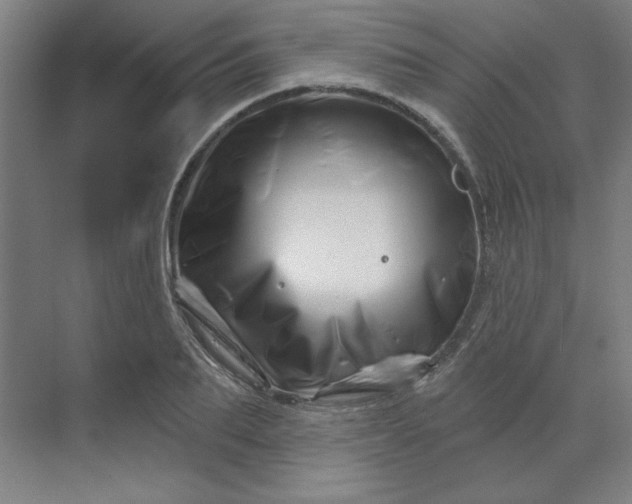 X0000070180887200606091504