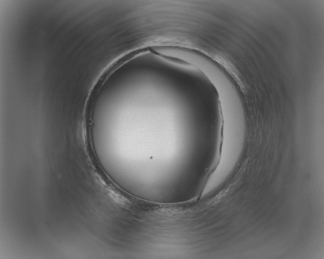 X0000070180888200606091504