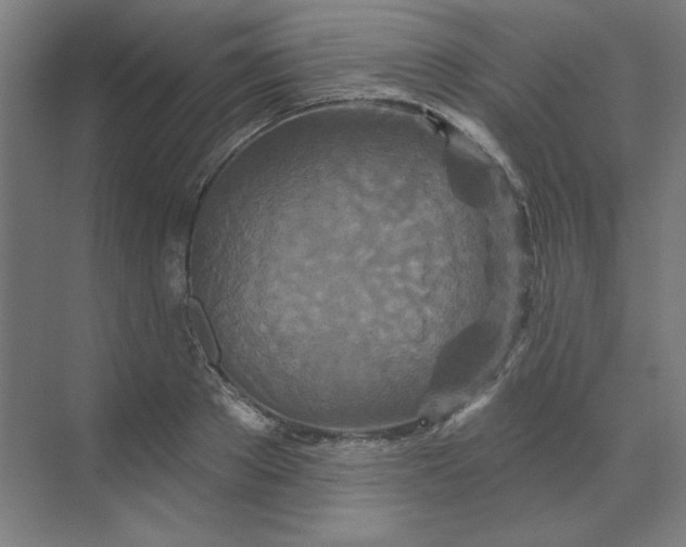 X0000070180889200606091504