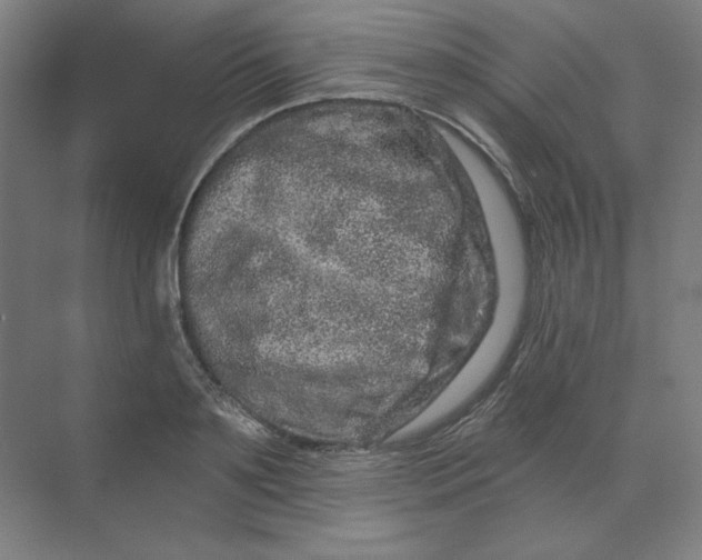 X0000070180891200606091503