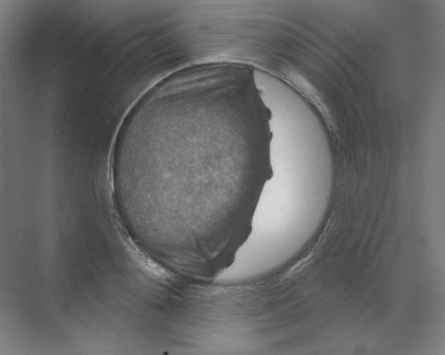 X0000070180892200606091503