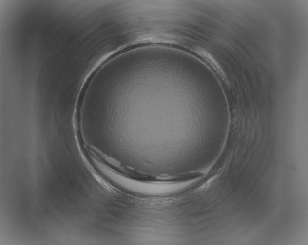 X0000070180893200606091503