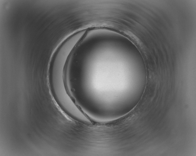 X0000070180894200606091503