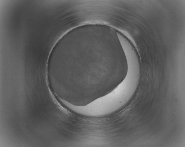 X0000070180895200606091503