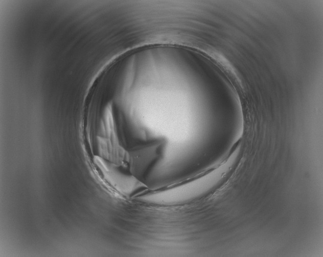 X0000070180896200606091503