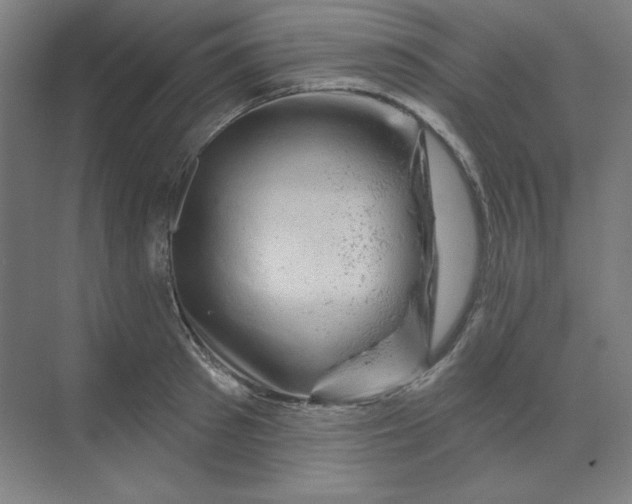 X0000070180897200606091503