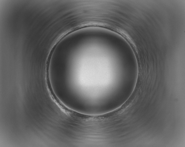 X0000070180898200606091503