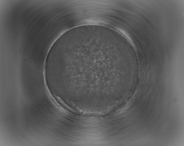 X0000070180899200606091503