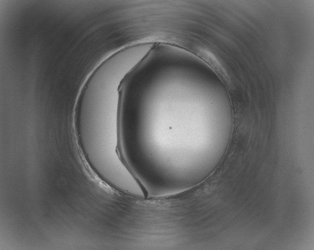 X0000070180900200606091503