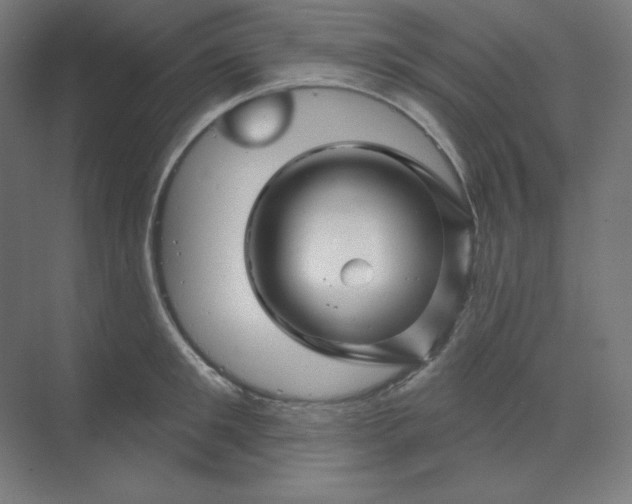 X0000070180901200606091503