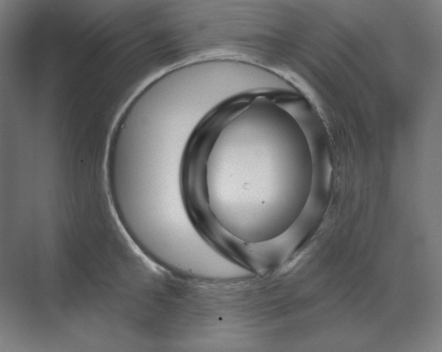 X0000070180902200606091503