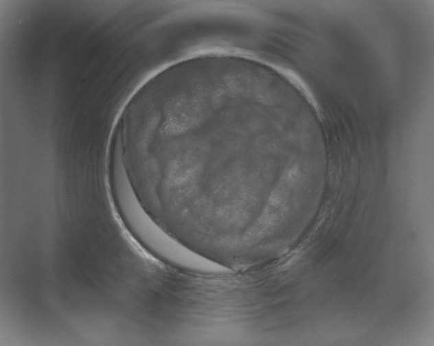 X0000070180903200606091503