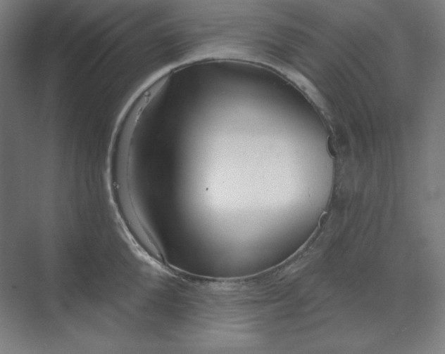 X0000070180904200606091503