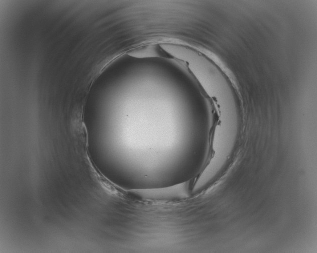 X0000070180905200606091503