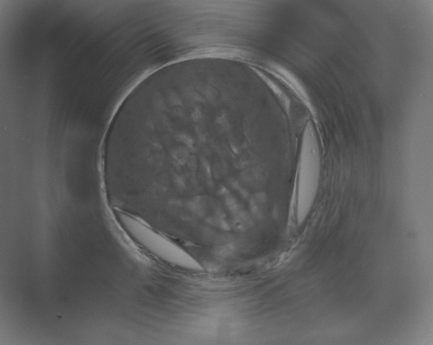 X0000070180907200606091503