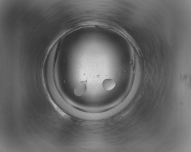 X0000070180909200606091503