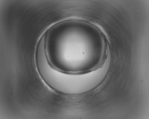 X0000070180910200606091503