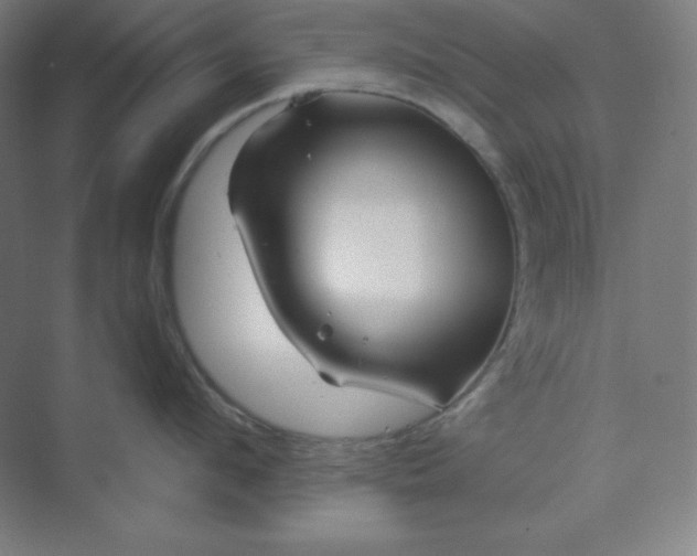 X0000070180912200606091503