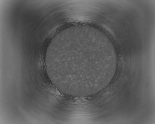 X0000070180918200606091502