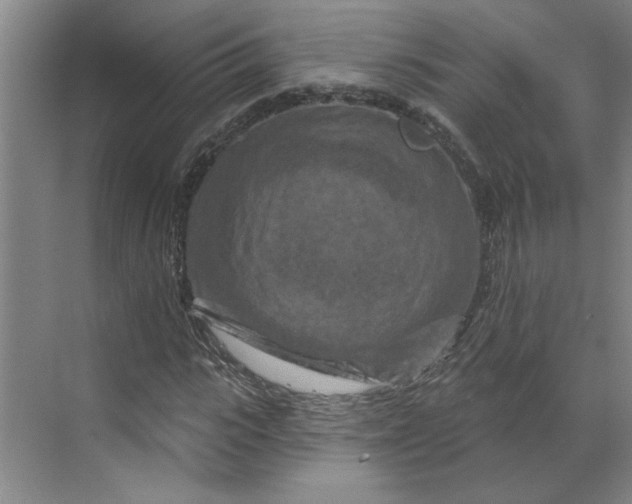 X0000070180919200606091502