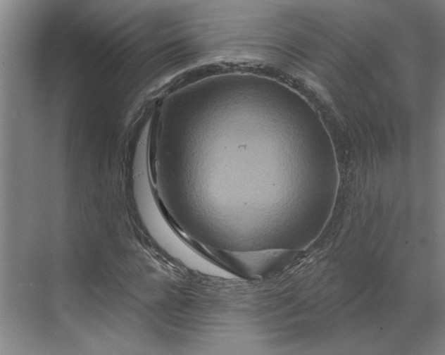 X0000070180920200606091502