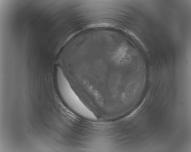 X0000070180921200606091502