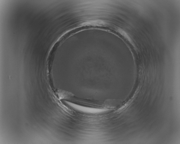 X0000070180923200606091502