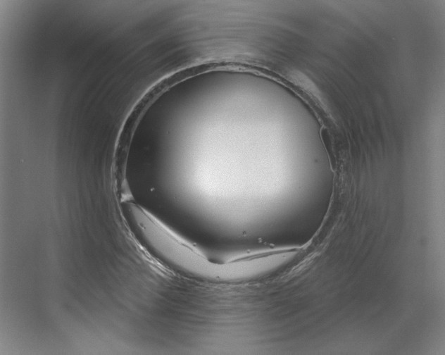 X0000070180924200606091503