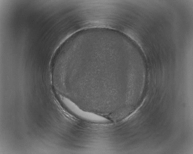 X0000070180925200606091503