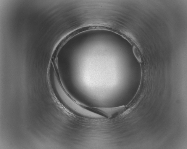 X0000070180928200606091503