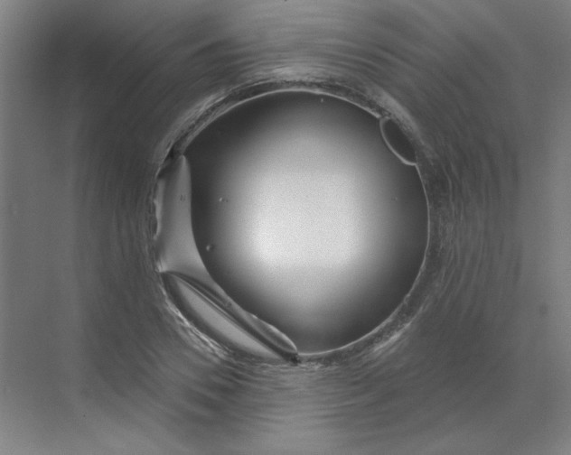 X0000070180930200606091503