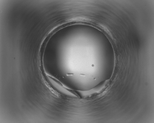 X0000070180931200606091503