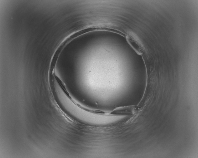 X0000070180932200606091503